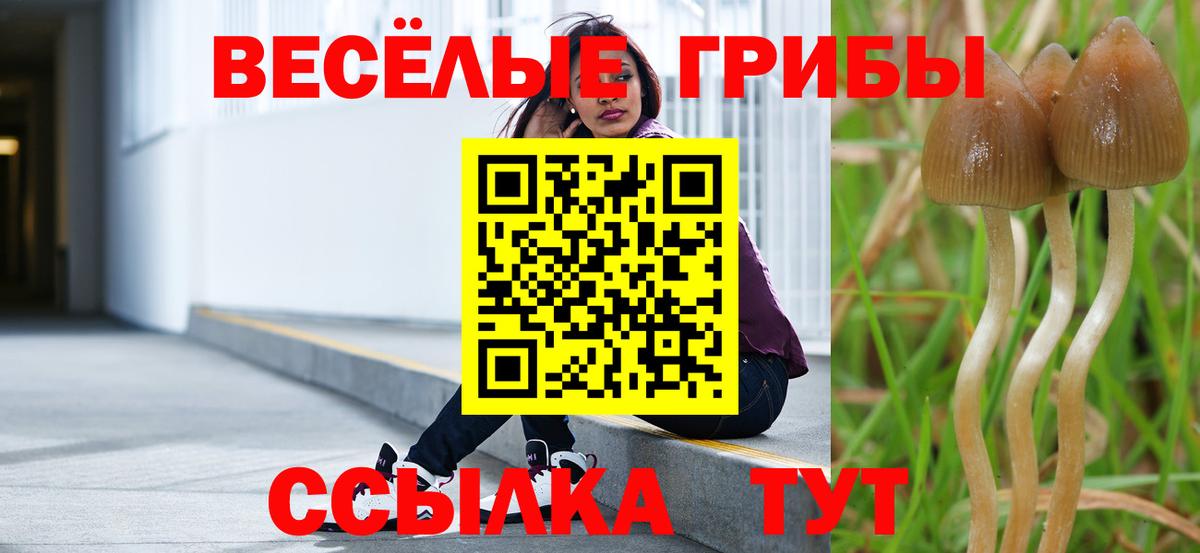 Псилоцибиновые грибы Magic Shrooms  Галлюциногенные грибы ЛСД  дарнет шоп  Вход с VPN  Жигулёвск 