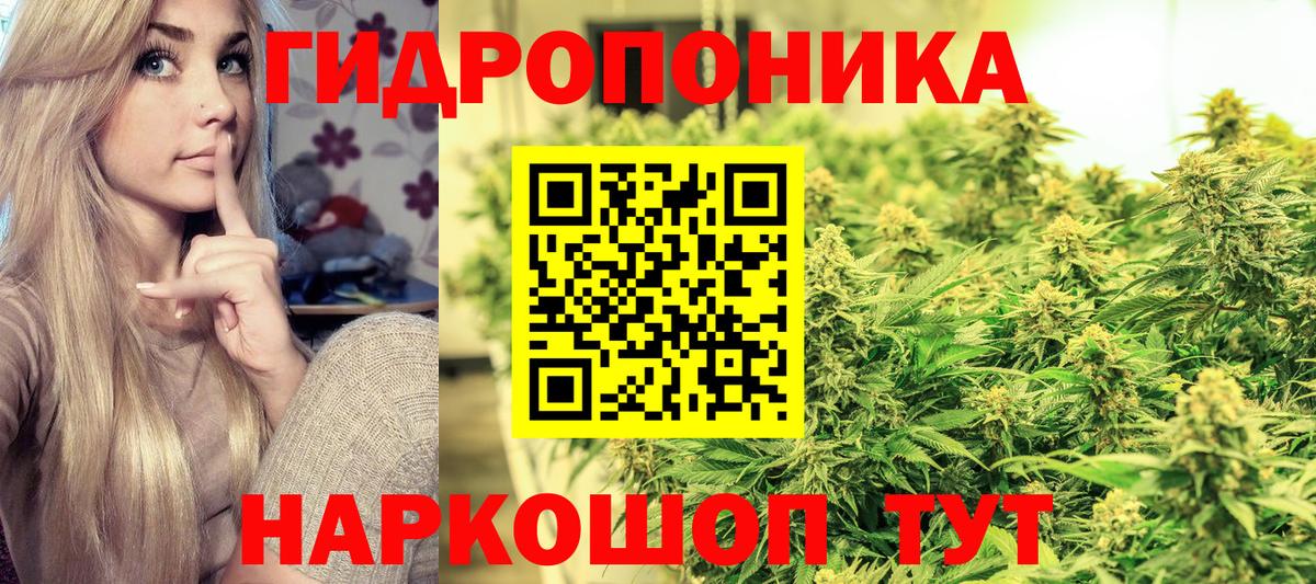 Шишки марихуана марихуана Жигулёвск